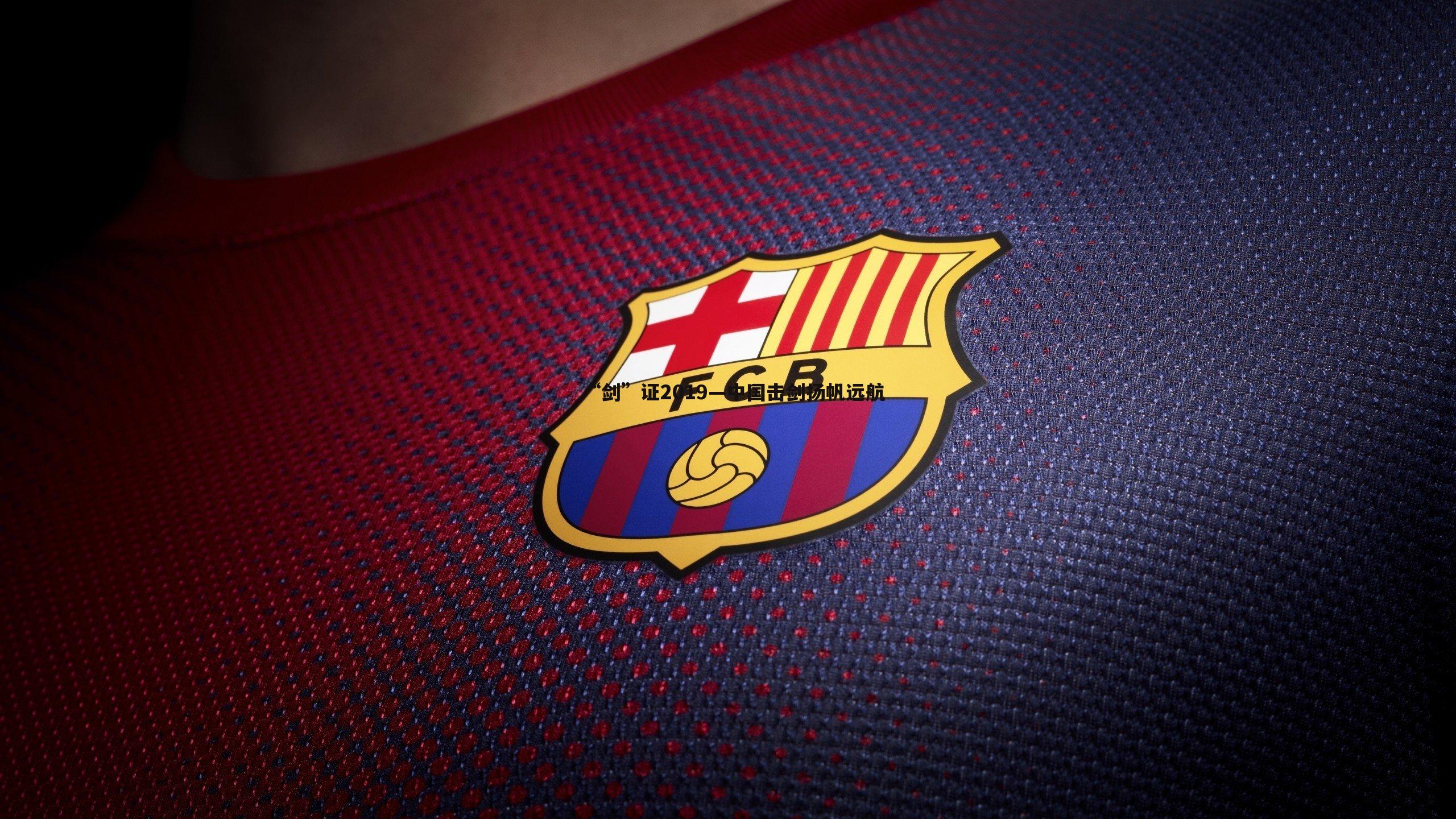 “剑”证2019—中国击剑扬帆远航